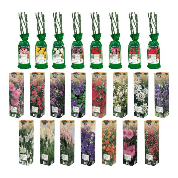 GARDENLINE(R) 	 				Rosiers ou plantes avec racines