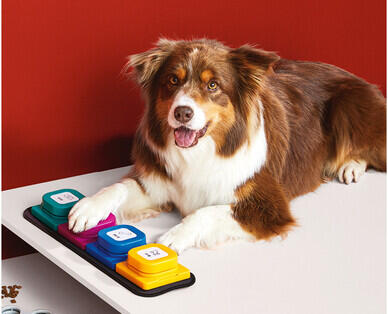 Interactive Pet Talking Buttons