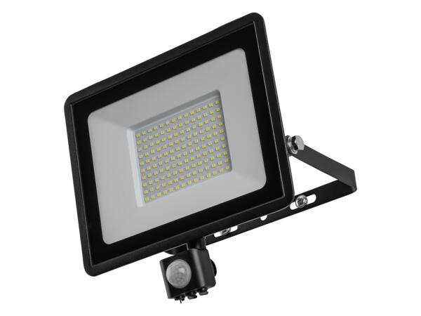 100W LED Outdoor Light