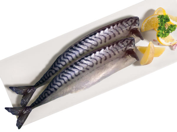 FISCHERSTOLZ Makrele im Stück