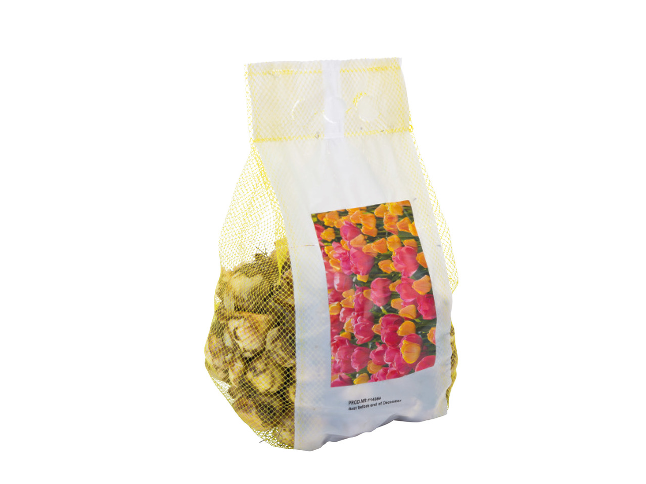 Landscape Bulb Mix1