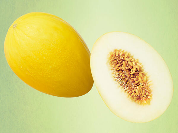 Honigmelone