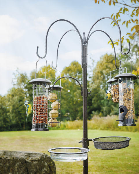 Complete Bird Feeding Station