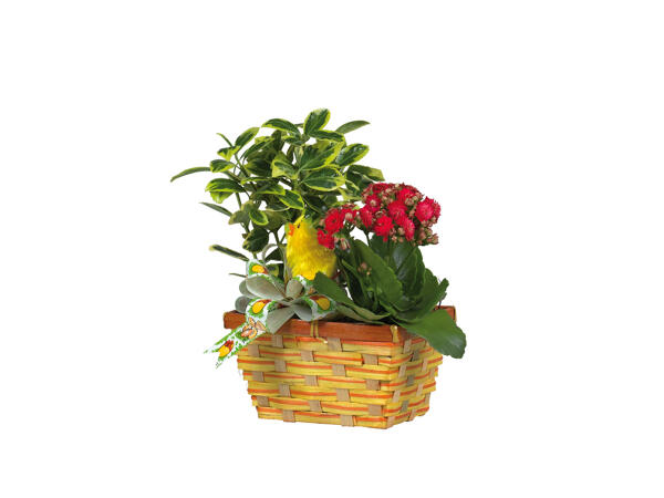 Easter Planter Basket