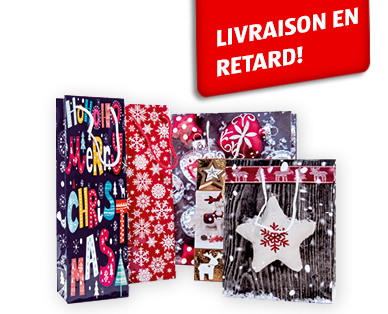 Lot de sacs cadeaux, 5 pièces