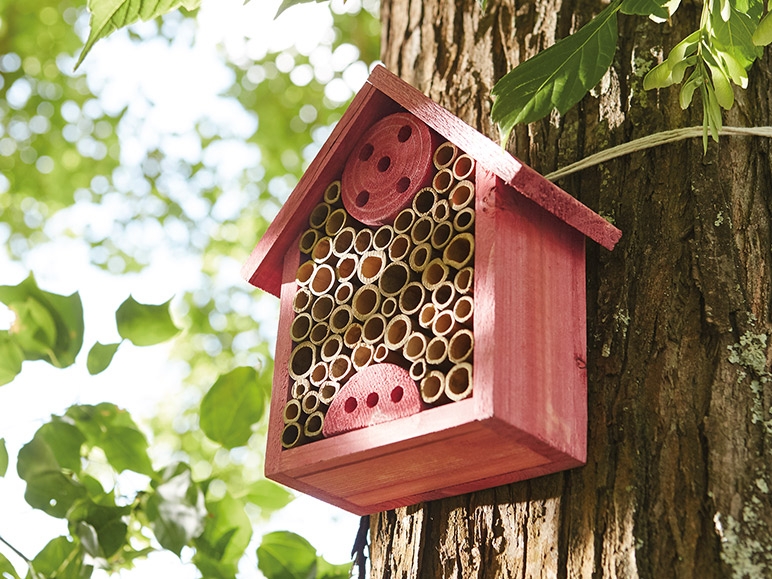 FLORABEST Bug Box