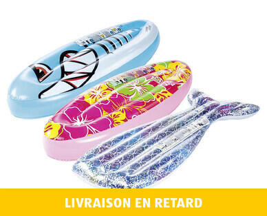 POLYGROUP(R)/ SUMMER WAVES(R)
MATELAS PNEUMATIQUE AMUSANT