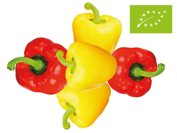 Bio Paprika-Mix