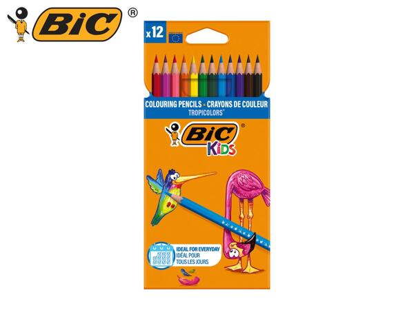 BIC Stationery Assortment