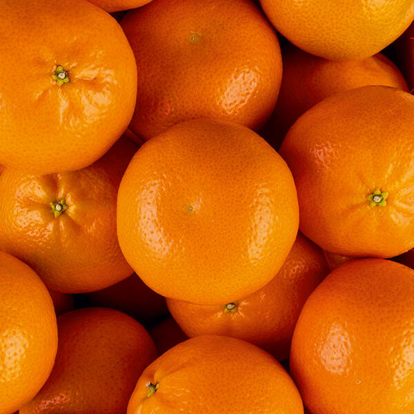 Saft-Mandarinen