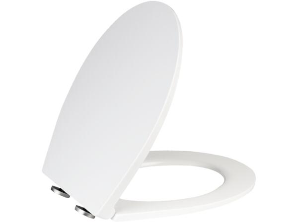 Toilet Seat