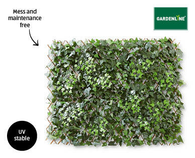 Premium Garden Wall Screening