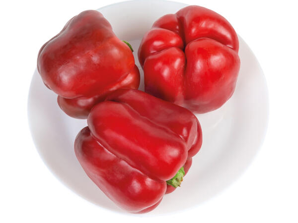 Paprika rot