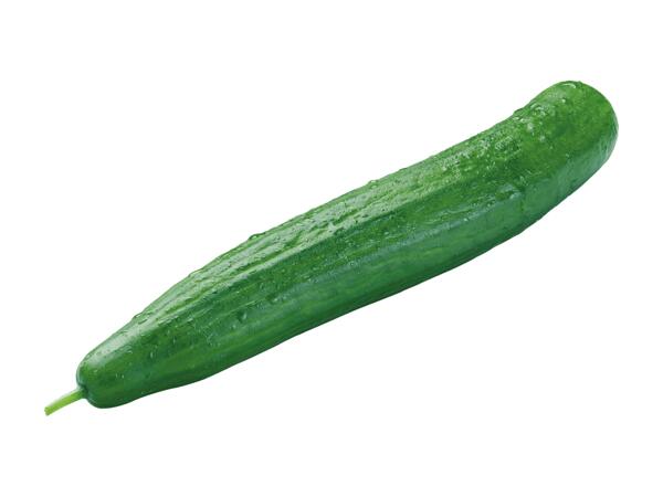 Gurke aus Österreich