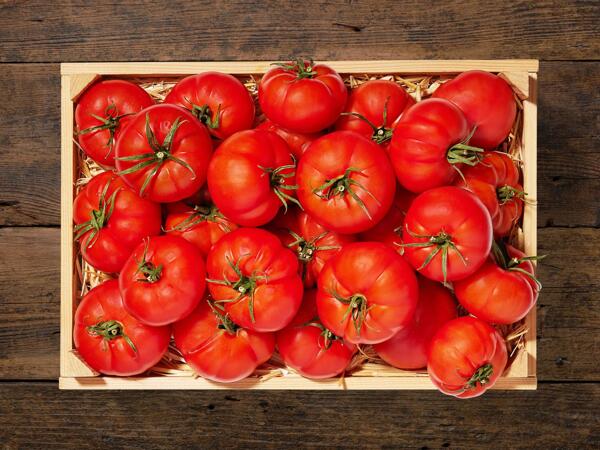 Pomodori Rebellion