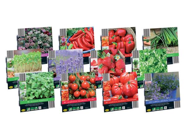 Greenhouse plants