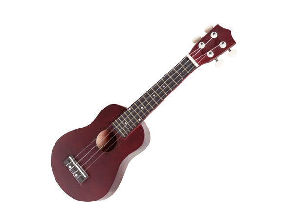 Ukulele Set
