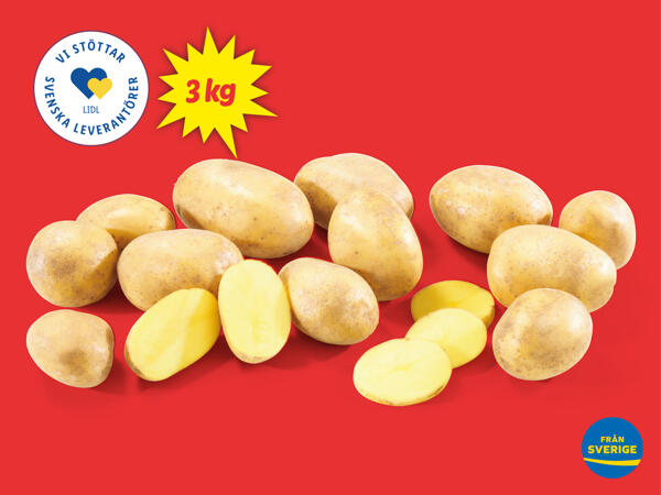 Fast potatis