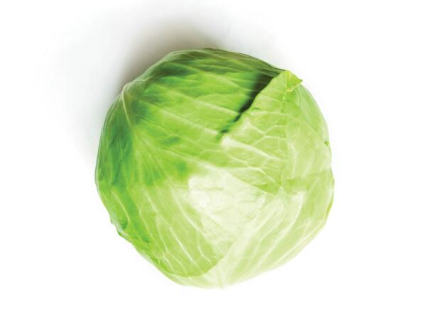 Cabbage