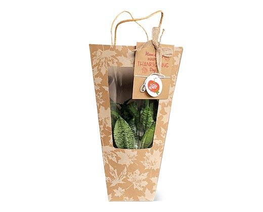 Decorated Foliage Bag Assorted Varieties