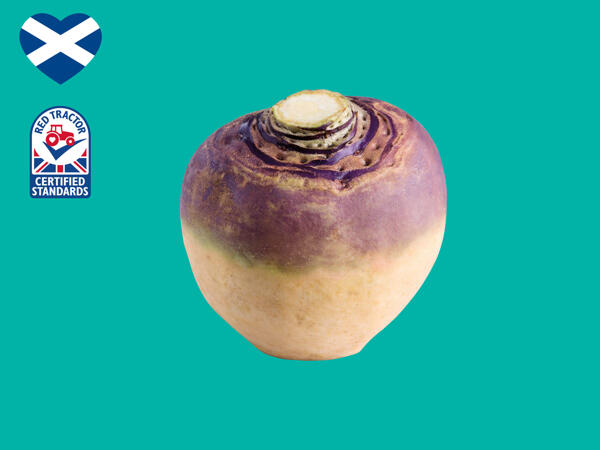 Scottish Swede