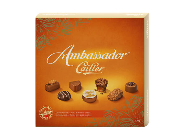 Ambassador Cailler