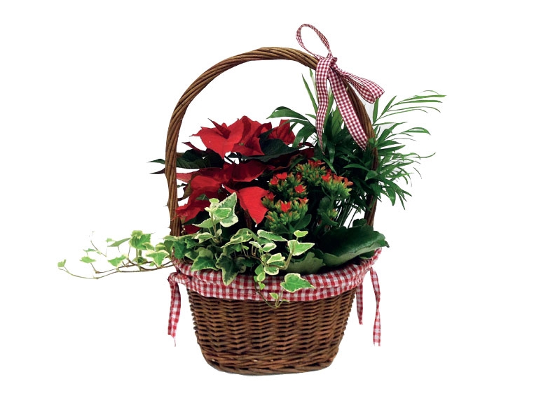 Christmas Basket