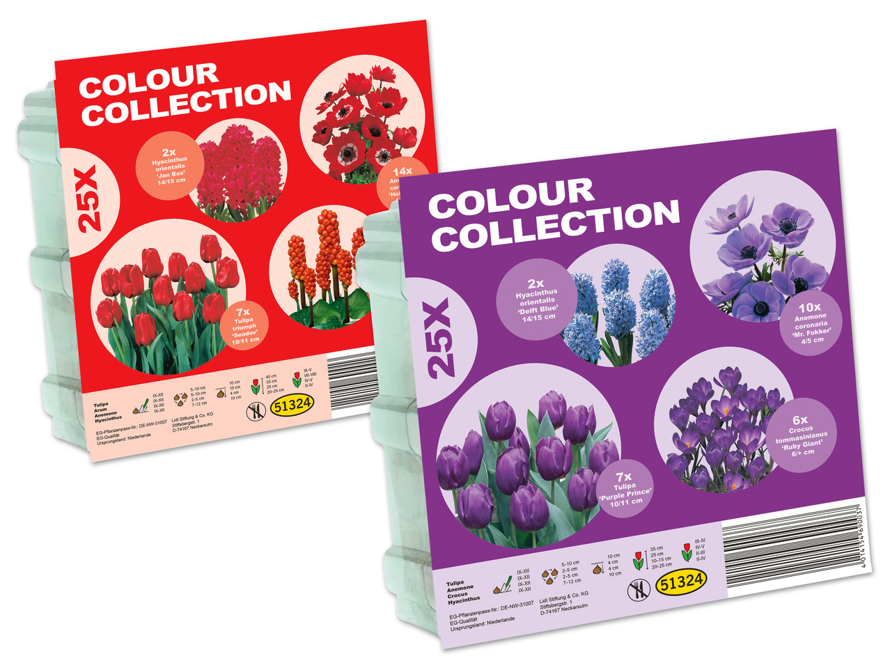 Blumenzwiebel Kollektion