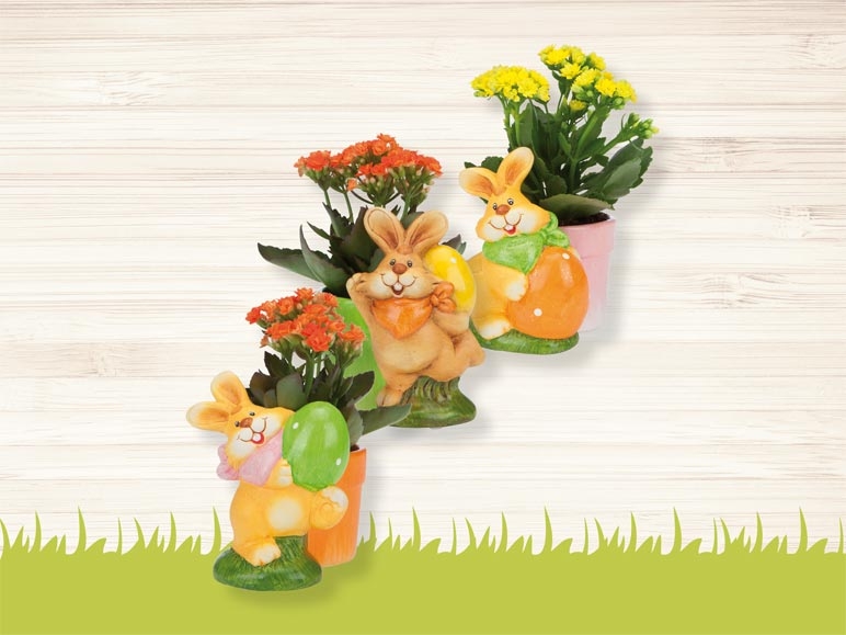 Lapin de Pâques en céramique avec pot de fleurs (dès 23.3.)