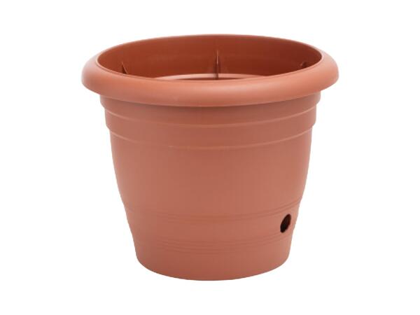 Plant Pot