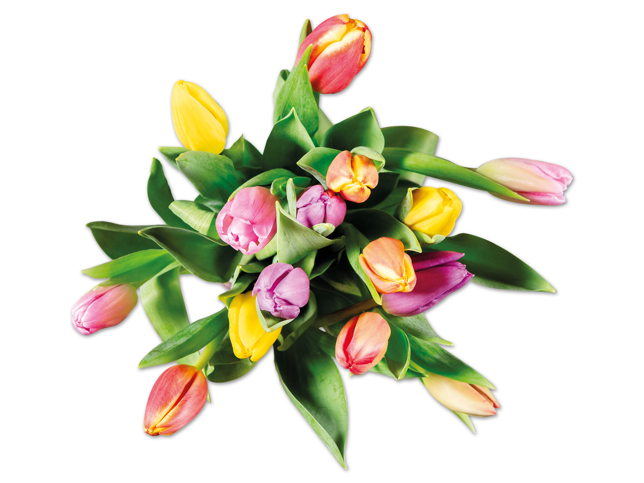 Tulpenstrauß Kunterbunt