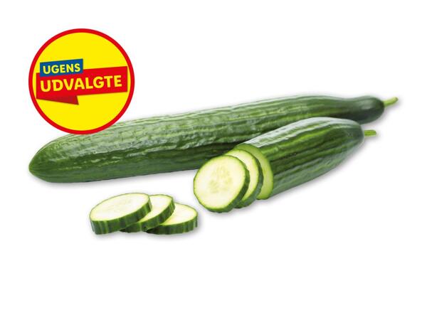 Økologisk dansk agurk