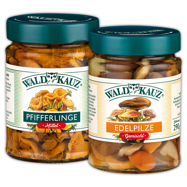 Edelpilze / Pfifferlinge
