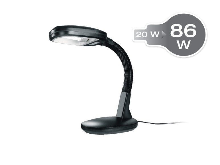 Daylight Lamp