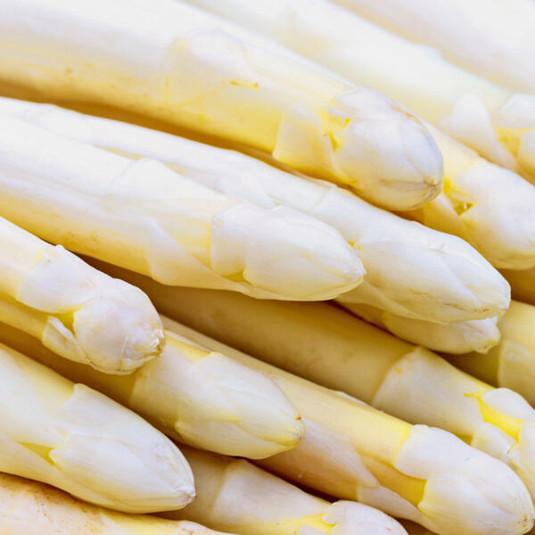 Spargel
