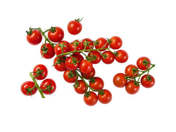 Cherry Tomatoes XXL