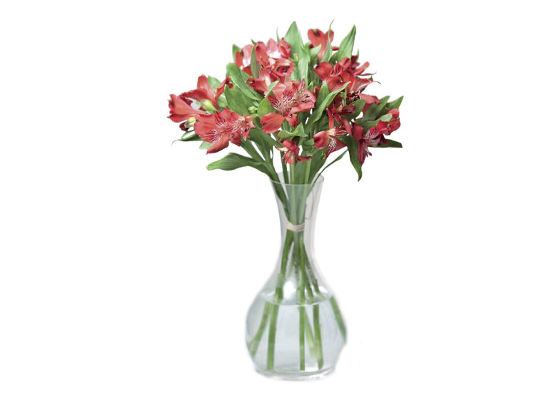 Alstroemerias
