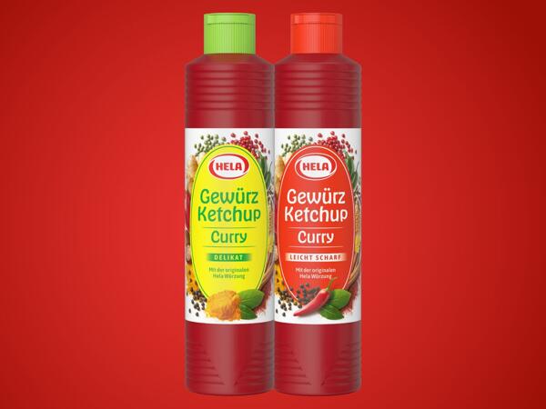 Gewürz Ketchup