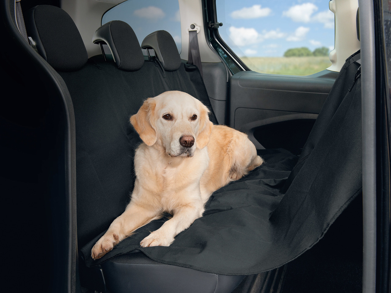 Zoofari Car Seat Cover1