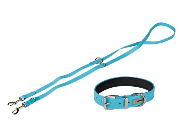 Hundhalsband och koppel