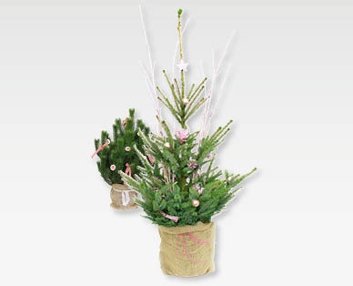 Sapin de Noël décoré