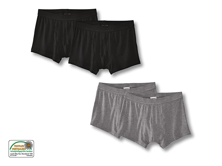 Boxer, 2er
