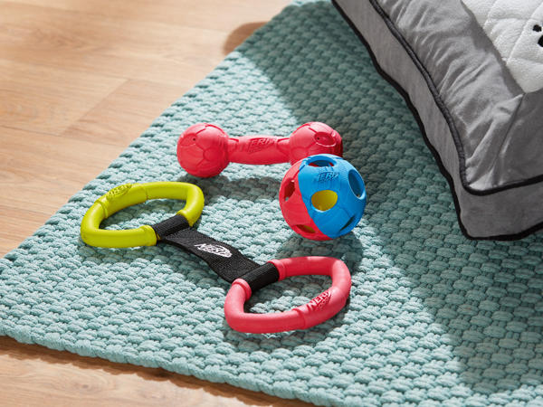 Dog Throwing Toys