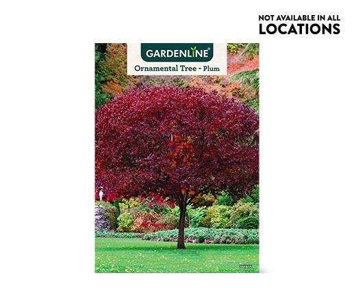 Gardenline 
 Shade or Ornamental Tree Assorted Varieties