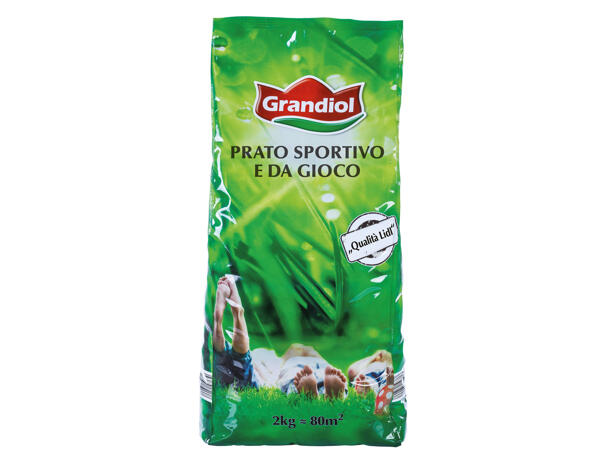 Lawn Seed mix