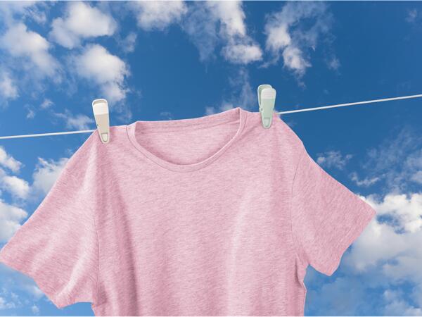 Clothes Pegs
