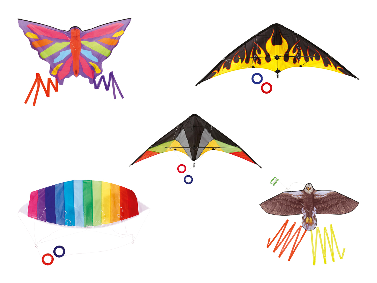 Cerf-volant