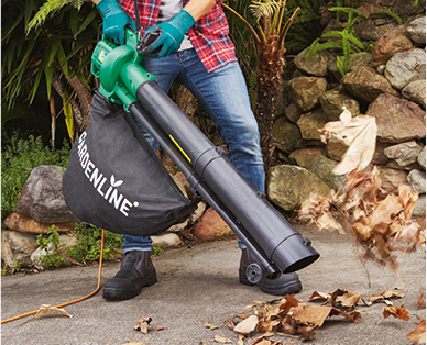 2400W Electric Blower Vacuum
