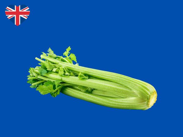 British Celery