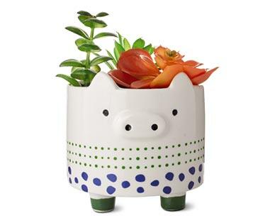 Huntington Home 
 Mini Decorative Succulents